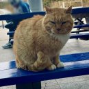 전라남도광역치매센터 | 전남광역 이동지원센터_퍼스널컬러 출강_후기