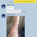 호성프라자약국 이미지