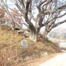 충도4리 이미지