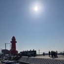오이도해양공원 | 시흥 시티투어 2층 버스 후기｜아이와 가볼만한 곳, 거북섬 오이도 코스 추천