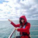 수산항요트하우스 화장실 | (내돈내산)제주도 돌고래 요트 투어 남방돌고래직캠