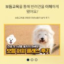 주식회사 보듬컴퍼니 | 개인 렌슨 교육 전문 개통령 보듬교육 TV 강형욱 훈련사의 보듬컴퍼니 사옥 신축현장 오남리 700번지...