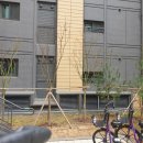 수원-1589 이미지