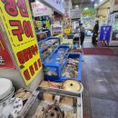 모자가리비 이미지