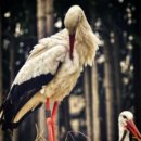 수동쉼터 이미지