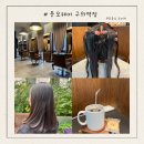 지아'조 | 준오헤어 구의역점 복구매직 후기 펌 손상모발 완벽 복구 경험담
