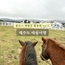 가문동 스테이 | 제주여행체험단 블로거의 제주도 여행 1박2일 애월여행 다녀온 후기 소비방어 비용 정리