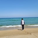 낙산해수욕장 티스토리