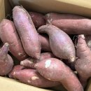 베니공구 | 꿀고구마 베니하루카 내돈내산 솔직후기 추천ㅣ에어프라이어 몇분