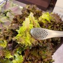 삼삼데이 | 가성비 최고 달서구 직장인 맛집 삼삼데이 본점 후기