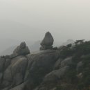 불광2-009 Daum카페