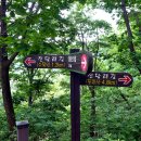 동화마을수목원 이미지