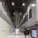 개미치킨 | 김포공항 국내선 맛집 홍대개미 연어덮밥 깔끔한 공항 식사 후기