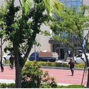 롯데몰 횡단보도 이미지