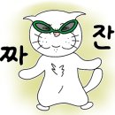 양주고양이분양 모나미네코 옥정신도시점 이미지