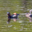 영천시화북면보건지소 이미지