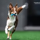 파주힐링몽 이미지