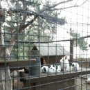 월출농장 이미지