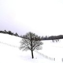 강릉목장 이미지