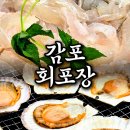 경주 경주맛집 감포맛집 감포횟집 경주횟집 감포수산시장 감포회포장 부부수산