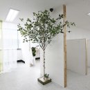 신촌화방 이미지