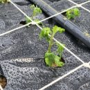 예송 농장 이미지