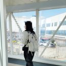 롯데수원피엘라벤 | 등산가방 추천 그레고리 나노 20 chalk white / 일상용으로도 추천
