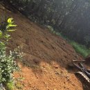 공설묘지 | 묘지이장안식처#270 하남 감북동 공설묘지 1기 윤달 작업 후기