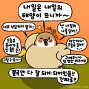 엉클아쿠아