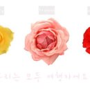 기린에너지 이미지