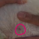 이을동물병원 이미지