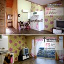 세라세미 이미지