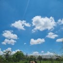 히든빌리지 이미지