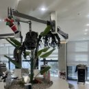 외대역전 | 이미지 변신 성공! 외대입구역 근처 미용실 후기