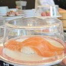 신시가지초밥 맛집 찾는다면? 회전초밥 초밥에덴 도청점 후기