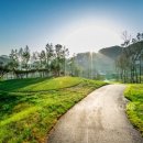 죽향컨트리클럽 이미지