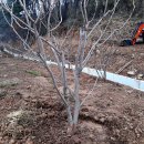 성한농장 이미지