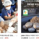 해콩이네 이미지