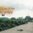 성빈농장 이미지