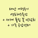 삼선민박 | 태안 여행후기) 연포해수욕장 +가족공감센터+세계튤립꽃축제