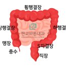 판교바른내과의원 이미지