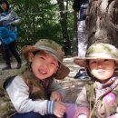 브레멘유치원 이미지