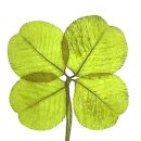 크로바 펜션 이미지