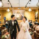 Pink House 이미지