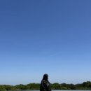 인생샷 건지는 제주 돌문화공원 후기(할인, 꿀팁까지)