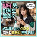 N세대인터넷PC방 | 밤티 뜻 완전 정복! MZ세대 신조어 유래와 활용법