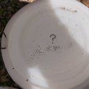 코지부호 이미지