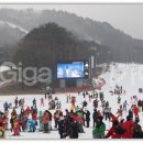 웰리힐리파크 이미지