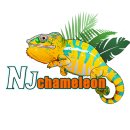 카멜레온 이미지