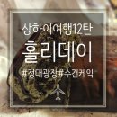 홍이잡화 | 상해)여행(12) 홀리데이 정대광장점수건케익 후기. 안 사면 후회 할 그외 디저트 추천.시식 후기...